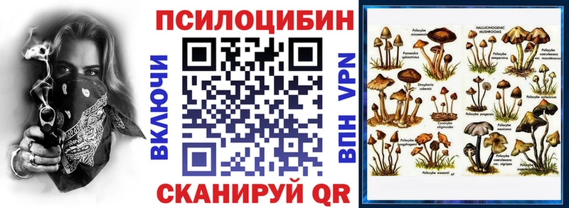 KRAKEN ONION  Иланский  Псилоцибиновые грибы Psilocybine cubensis 